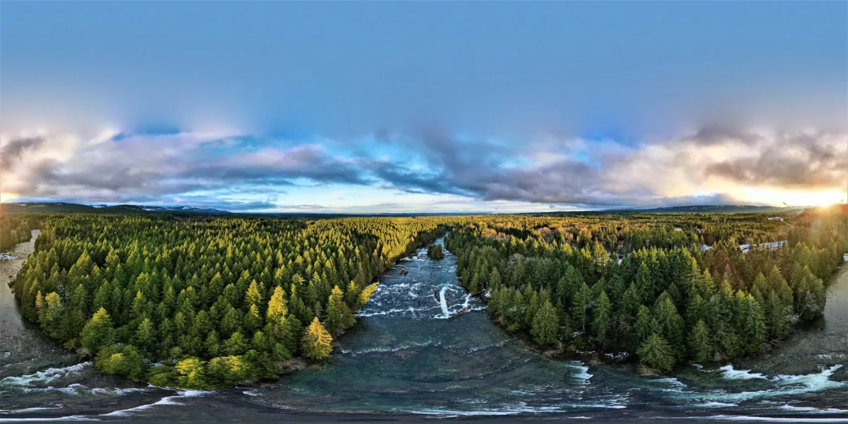 Aerial view of a coastal property